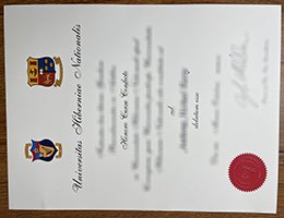 Universitas-Hiberniae-Nationalis-diploma