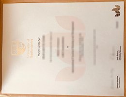 University of Bedfordshire Diploma