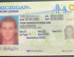 USA Michigan (MI) Scannable Drivers License