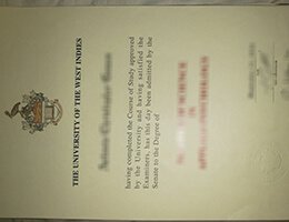 University of the West Indies degree