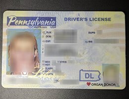USA Pennsylvania NEW (PA) Scannable Drivers License