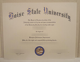 Boise State University degree