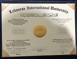 Lebanese International University degree