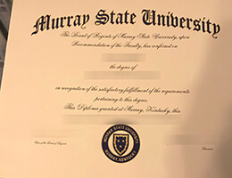 Murray State University degree