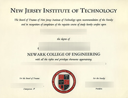 New Jersey Institute of Technology degree