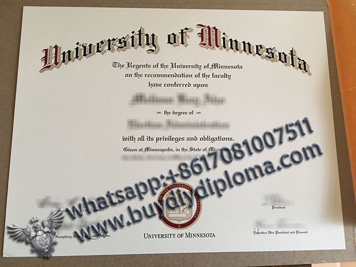 University of Minnesota degree