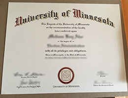 University of Minnesota degree