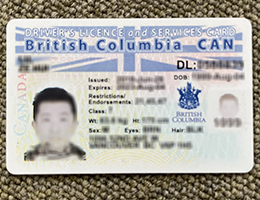 British-Columbia-Driver-license