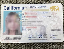 California scannable Driver license