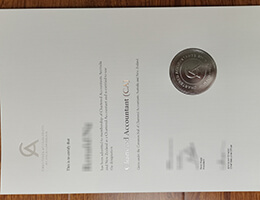 Chartered Accountants Australia and New Zealand (CA ANZ) certificate