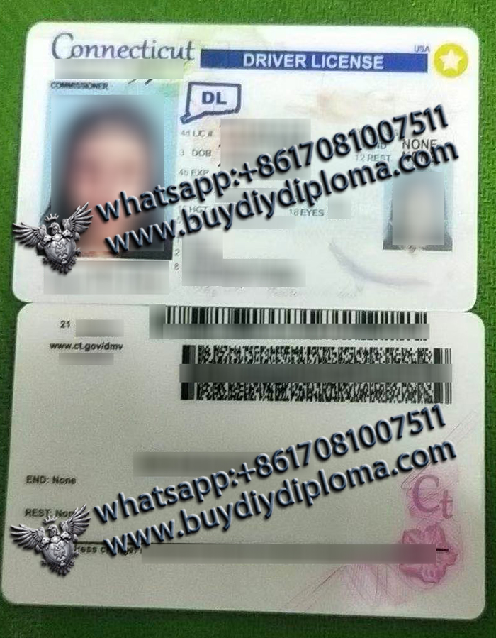 scannable Connecticut Driver License scannable Connecticut Driver License