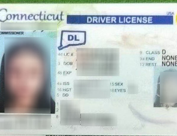 scannable Connecticut Driver License