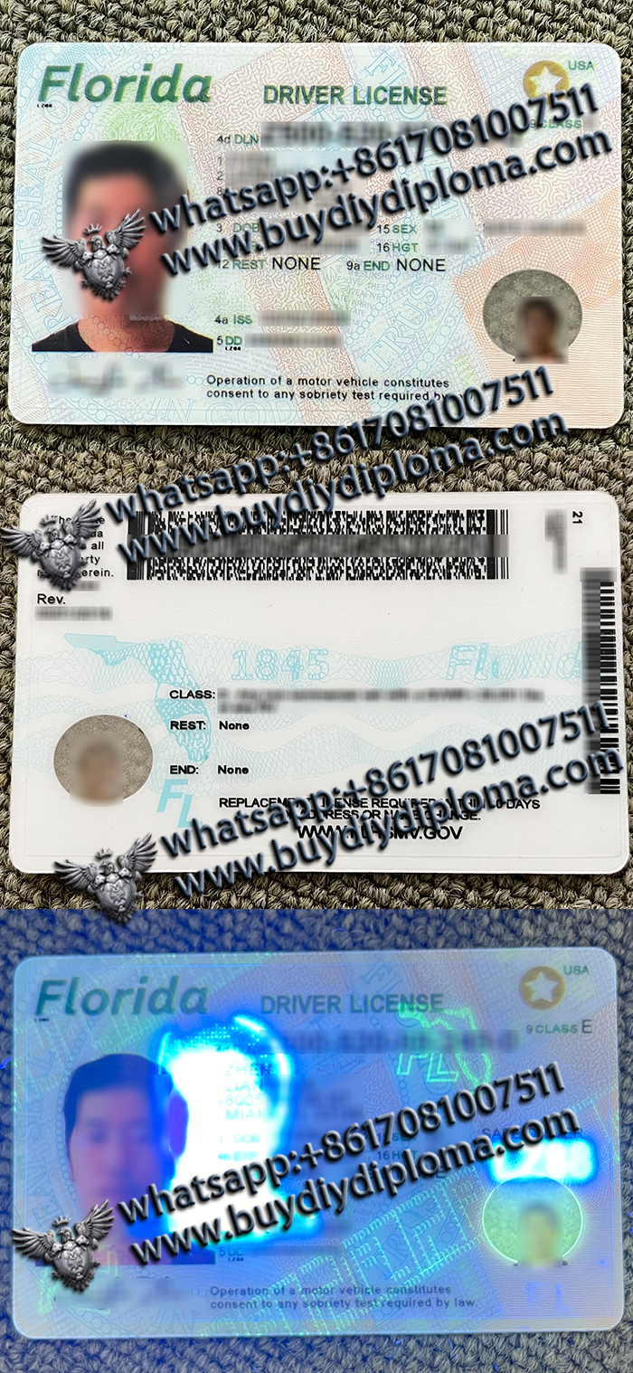 Florida Driver license