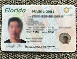 Florida Driver license