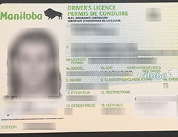 Manitoba Scannable Drivers License