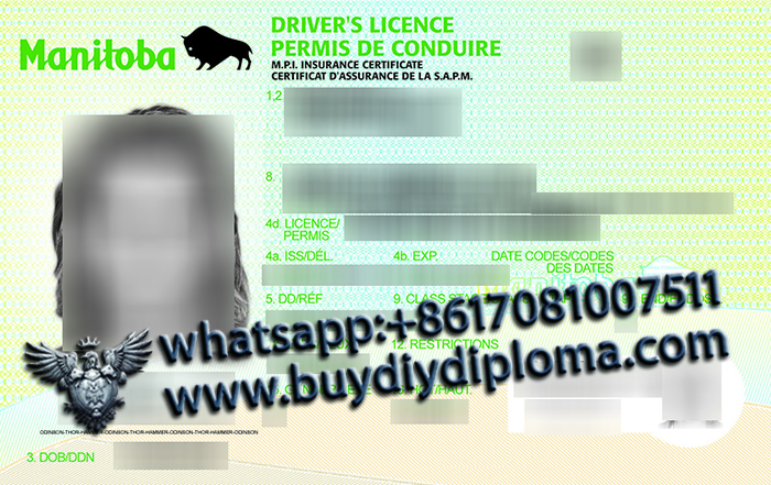 Manitoba Scannable Drivers License