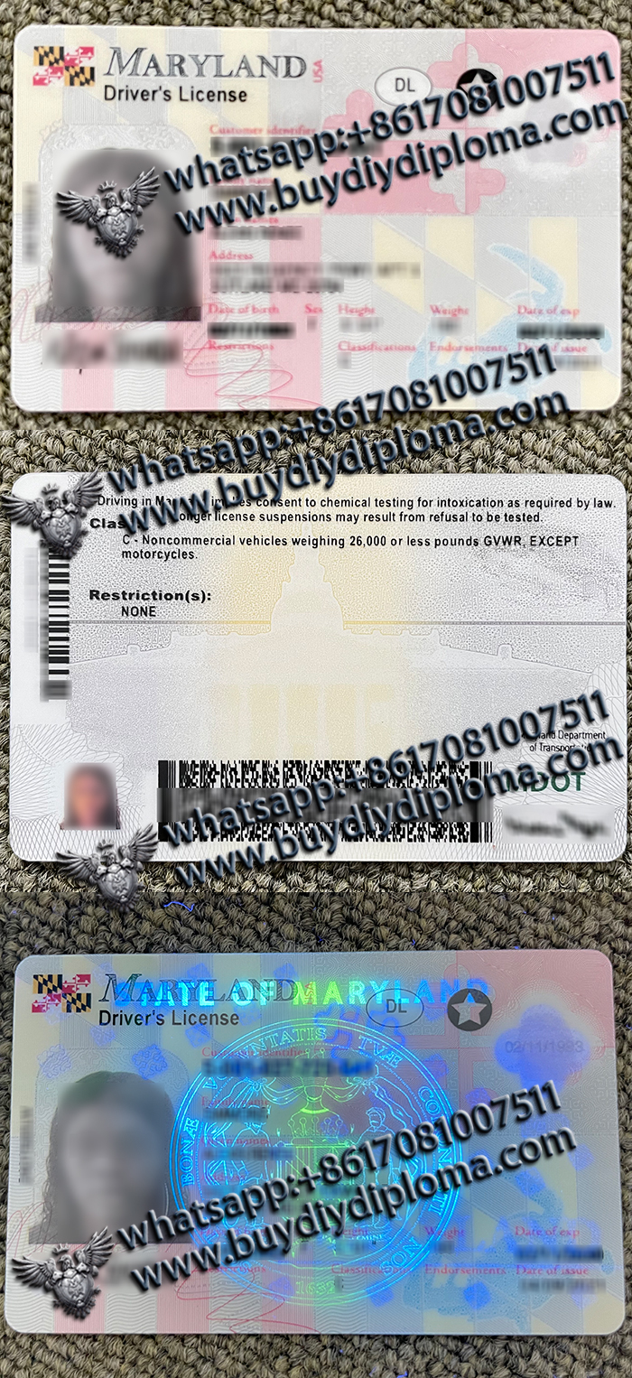 Maryland Driver license