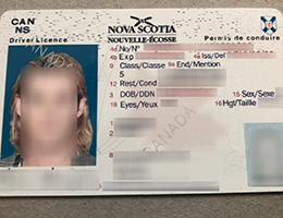 Nova Scotia (NS) Scannable drivers license