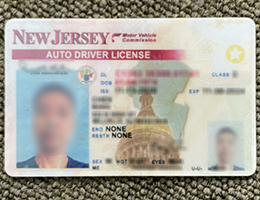 New Jersey Driver License