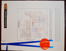 New Zealand Diploma Apostille