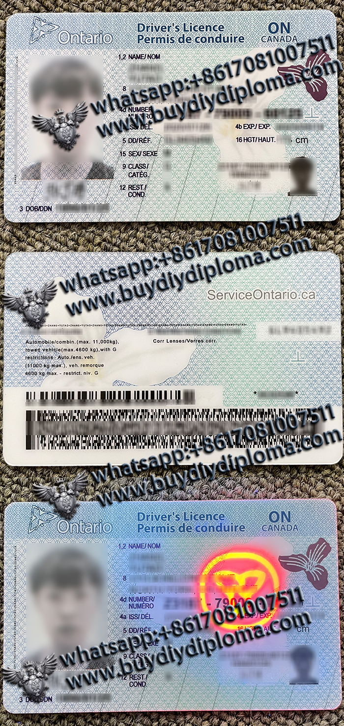 Where can I buy a fake Ontario scannable Driver Licese? Ontario-Driver-Licese-1