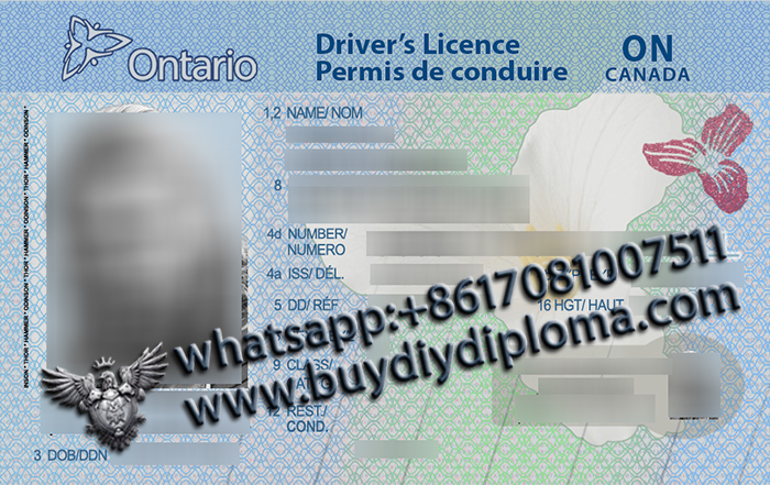 Ontario (ON) Scannable drivers license