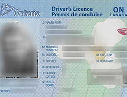 Ontario (ON) Scannable drivers license