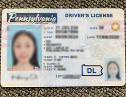 Pennsylvania Driver License