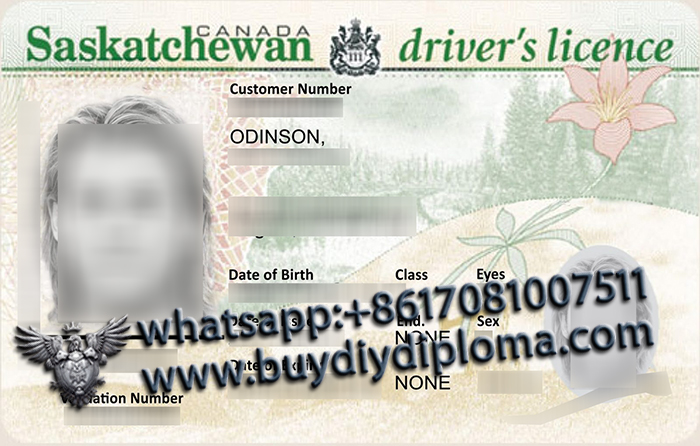 Saskatchewan Scannable driver’s license