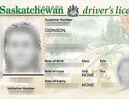 Saskatchewan Scannable driver’s license