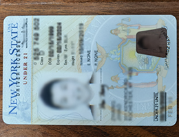 Vertical New York driver license