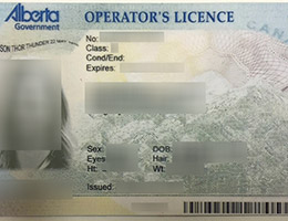 Alberta (AB) Scannable drivers license