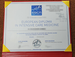 european society of intensive care medicine diploma