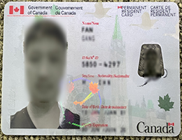 Canada permanent resident card