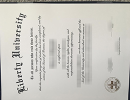 Liberty University degree