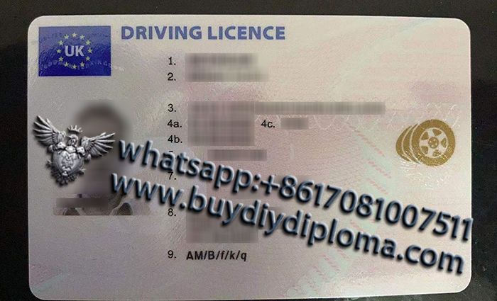 Northern Ireland driver license