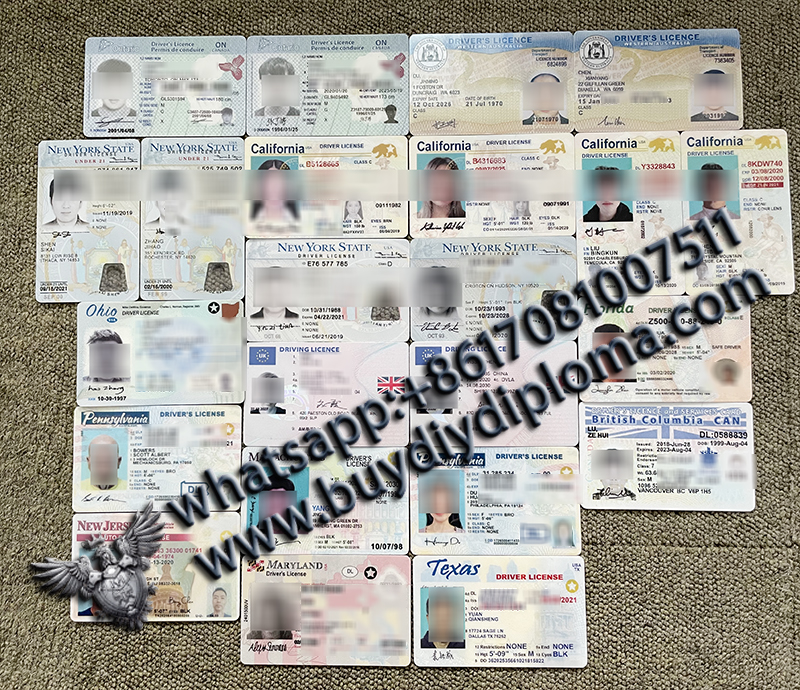 USA drivers licenses