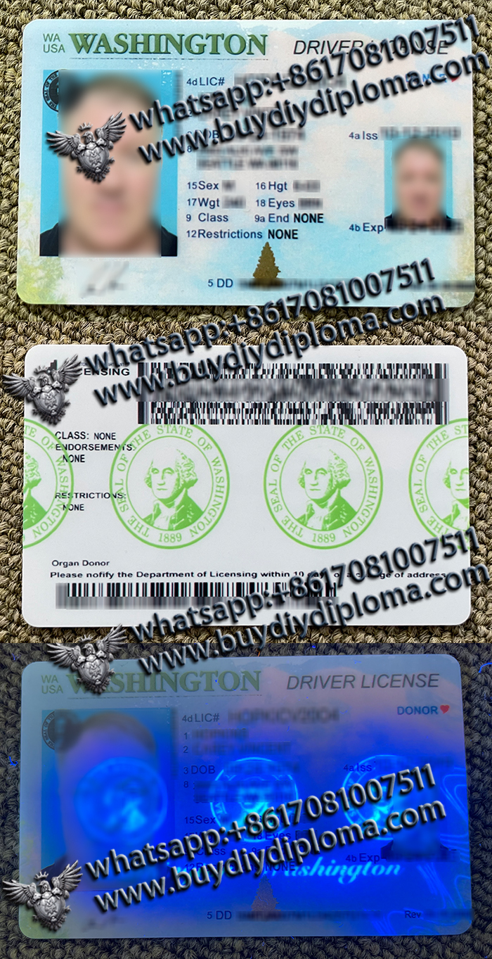 Washington Driver License Washington Driver License