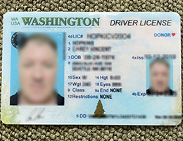 Washington Driver License