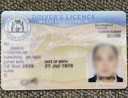 Western Australia Driver's License