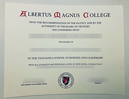 Albertus Magnus College degree