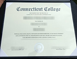 Connecticut College degree