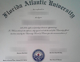 Florida Atlantic University degree