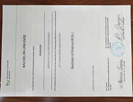 Technical University of Dortmund certificate