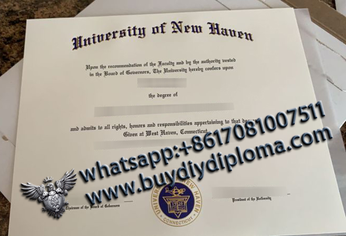 University of New Haven degree