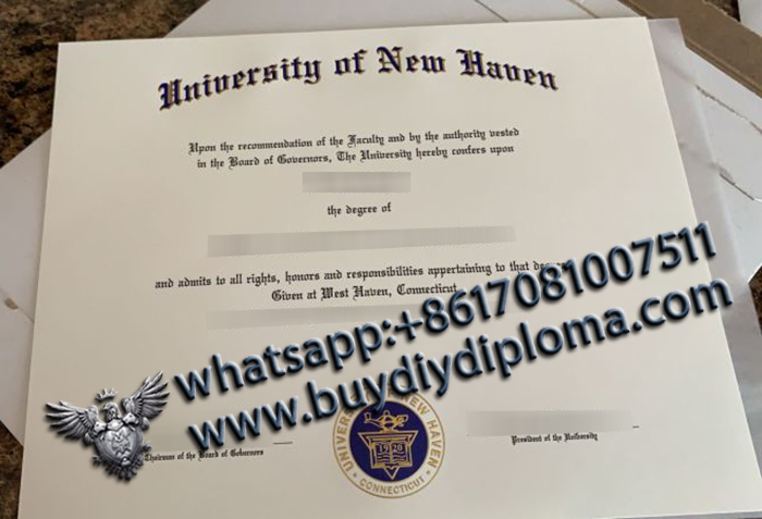 University of New Haven degree University of New Haven degree