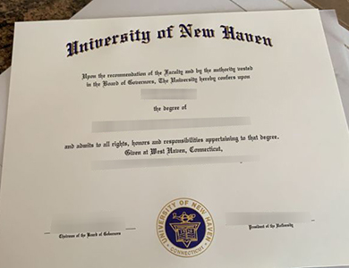 University of New Haven degree