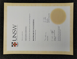 UNSW degree