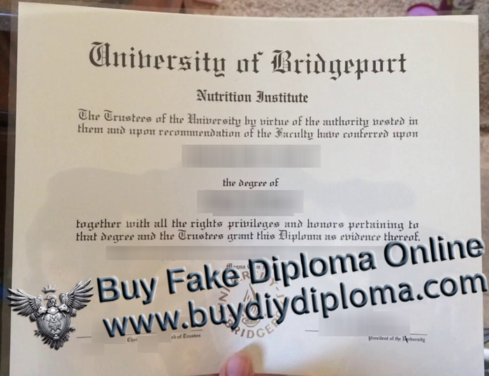 University of Bridgeport degree University of Bridgeport degree
