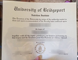 University of Bridgeport degree
